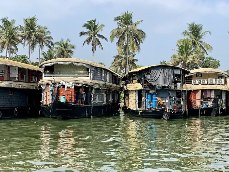 Wooden houseboat moored on a palm-lined Alleppey backwater canal in soft morning light